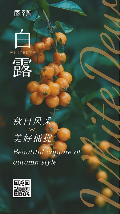 摄影风白露节气秋日风采美好捕捉手机海报