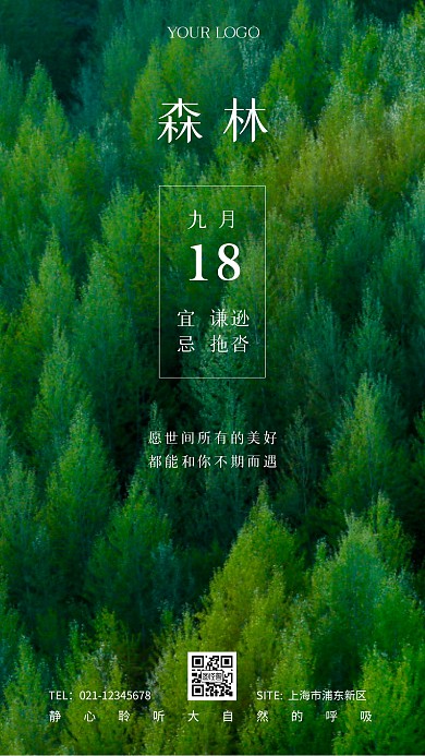 森林日签绿色大自然摄影图海报