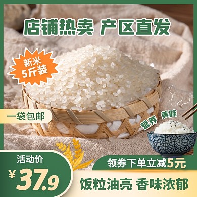 绿色简约风一袋大米新米粮食主图直通车