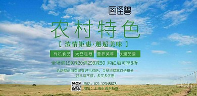 农村特色精品店海报