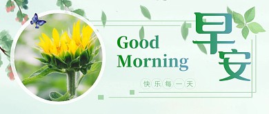 早安小清新绿色护眼公众号封面首图