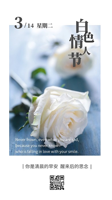 简约唯美314白色情人节类早安日签