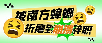 被南方蟑螂折磨到崩溃辞职公众号封面首图