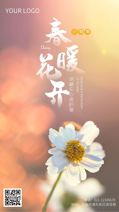 春天花卉之小雏菊手机摄影图海报