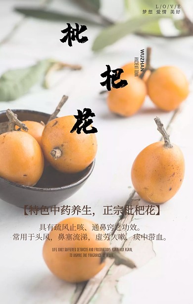 中国风水墨画古典枇杷花药材手机海报