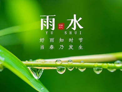 绿色叶子水珠摄影图雨水节气公众号横版配图