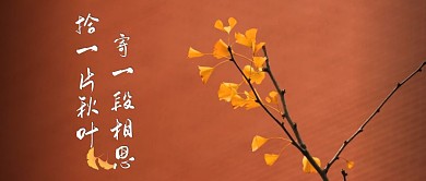 秋思银杏叶文艺首图