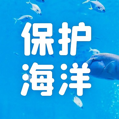 蓝色摄影风世界海洋日公众号封面次图