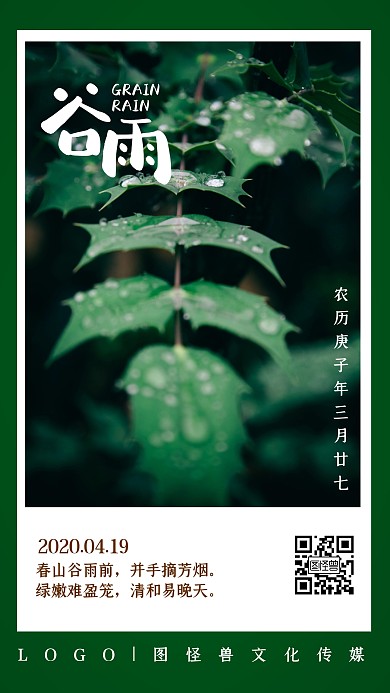 谷雨传统节气习俗绿植摄影简约日签