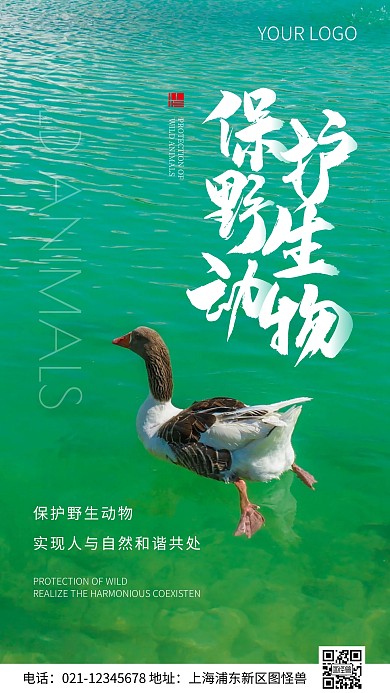 简约风保护野生动物公益摄影图海报