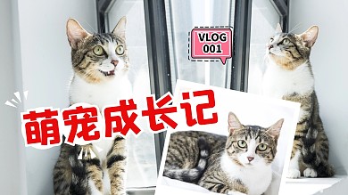 图片拼接萌宠成长视频封面