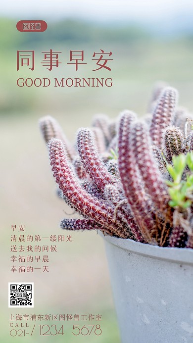 简约风摄影图同事早安问候摄影图海报