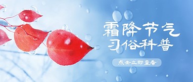 简约霜降节气习俗科普公众号封面首图