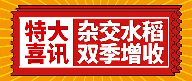 增收新记录杂交水稻蓝色简约公众号首图