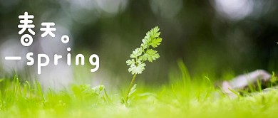 春天绿色草地嫩芽简约公众号首图
