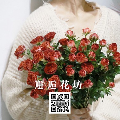 鲜花公众号植物正方形配图