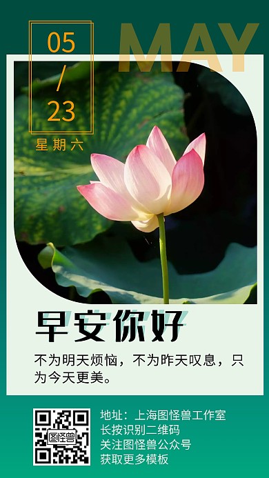 早安你好荷花景色绿色日签