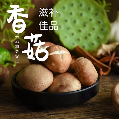 野生茶树菇深色家居零食主图直通车海报