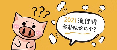 2021流行词你认识几个黄色猪卡通