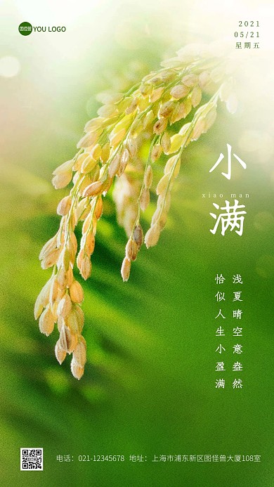 小满节气绿色谷物质感大气摄影图海报