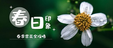 春游出行植物旅行赏花攻略公众号首图