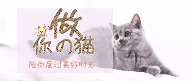 做你的猫公众号封面