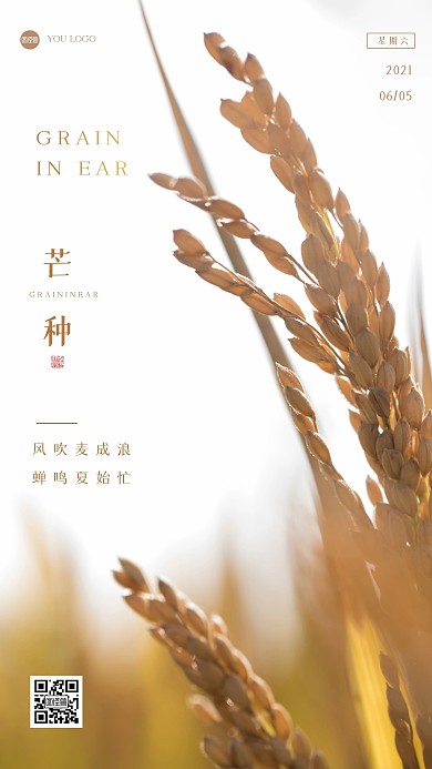 简约麦田芒种节气摄影图海报