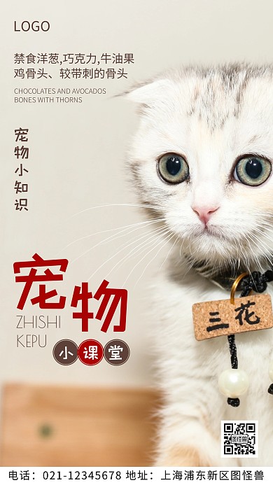摄影图宠物知识褐色简约风手机海报