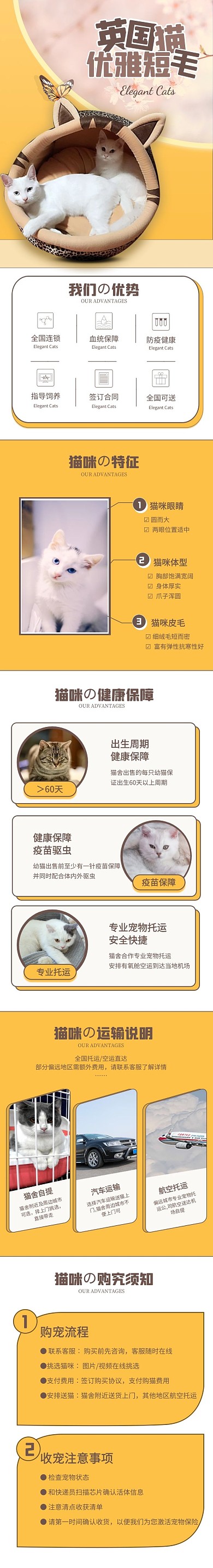 电商可爱英国猫咪宠物产品创意详情页