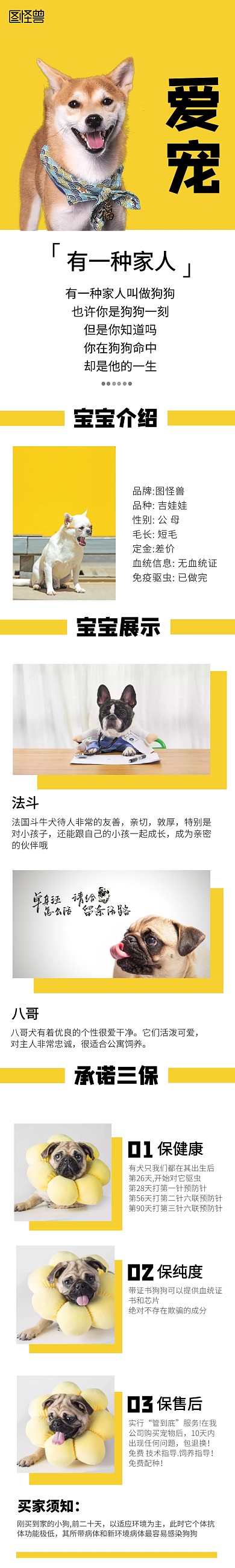 爱宠黄色简约淘宝详情页狗狗	