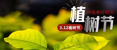 植树节节气绿色公众号封面