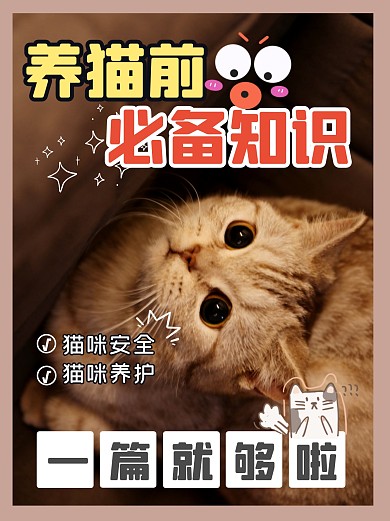 养猫前必看攻略小红书封面