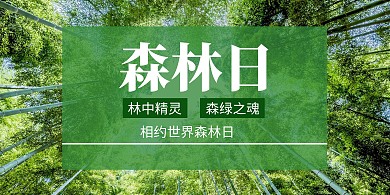 绿色简约大气森林横版海报