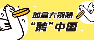 别想“鹅”中国公众号封面首图