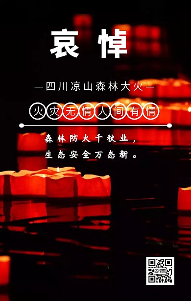 四川凉山森林火灾海报
