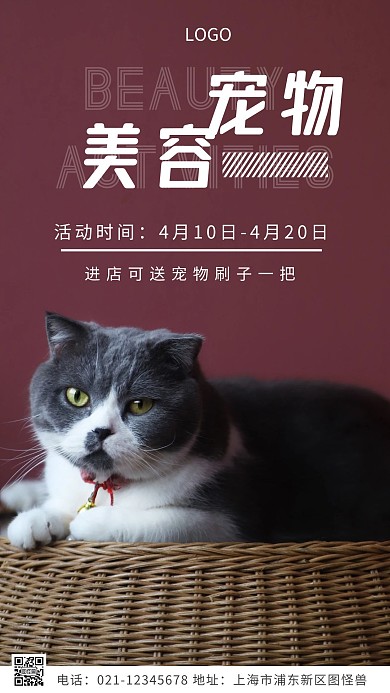 摄影图宠物美容活动白色简约风摄影图海报