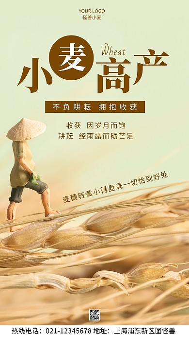 小麦高产绿色宣传喜报简约风摄影图海报