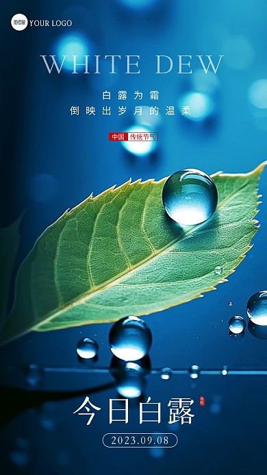 简约摄影风白露节气祝福问候AIGC海报