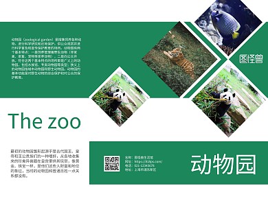 动物园熊猫简约绿色宣传册三折页