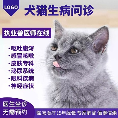 宠物医生在线咨询简约蓝紫宠物服务