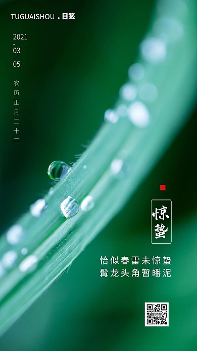 早安海报惊蛰绿色简约风日签