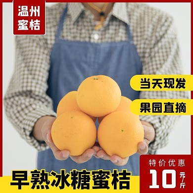 简约创意清新几何温州蜜桔淘宝主图