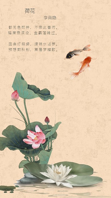 古代复古风简约手机壁纸之荷花