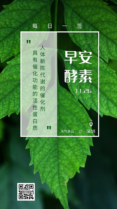 早安酵素树叶摄影日签