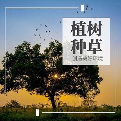 植树种草公众号正方形配图