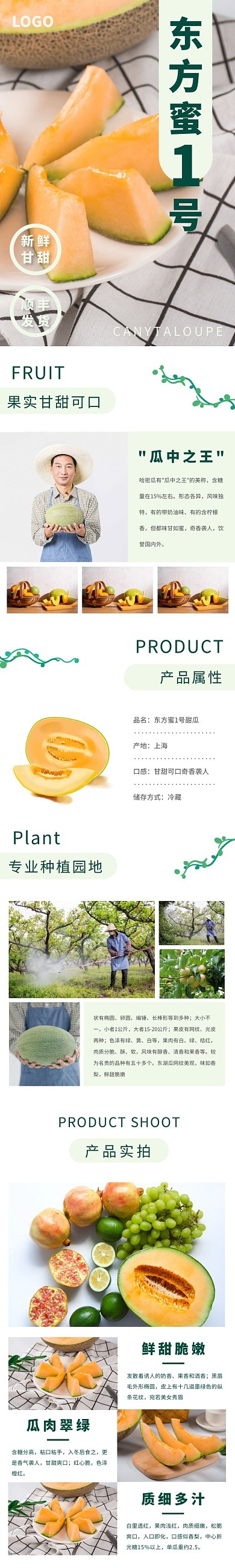 东方蜜1号简约手绘绿色食品茶饮详情页