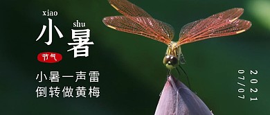 小暑一声雷倒转做黄梅墨绿公众号首图