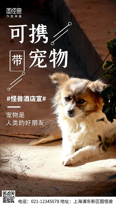 摄影图酒店对宠物开放白色简约风手机海报