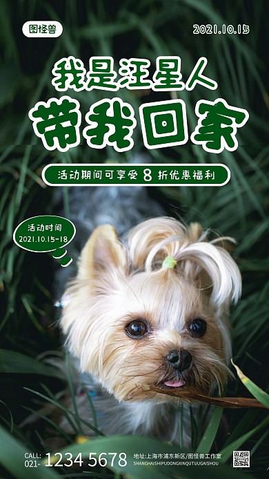 简约卡通风宠物狗大气绿色手机摄影图海报