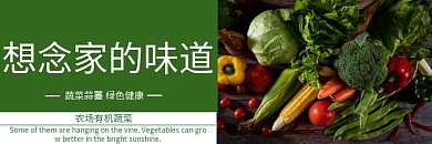  蔬菜蒜薹海报